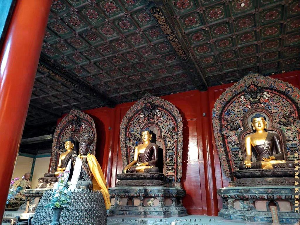 2023 02 05  PEKIN - WANSHOU TEMPLE LONGEVITE BIENVEILLANCE (29).jpg